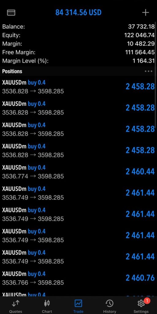 MT5 trading result from a member