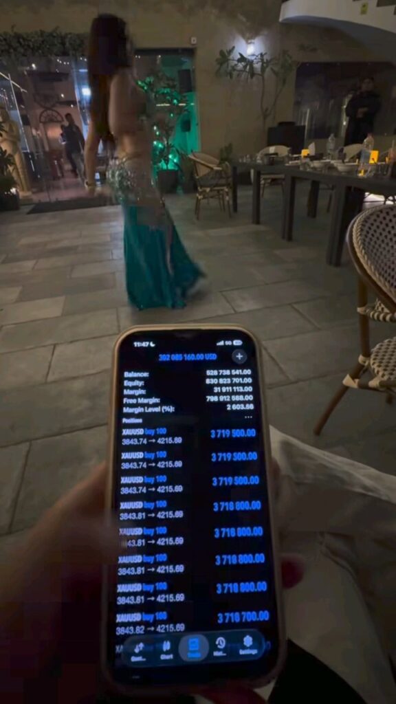 MT5 trading result from a member