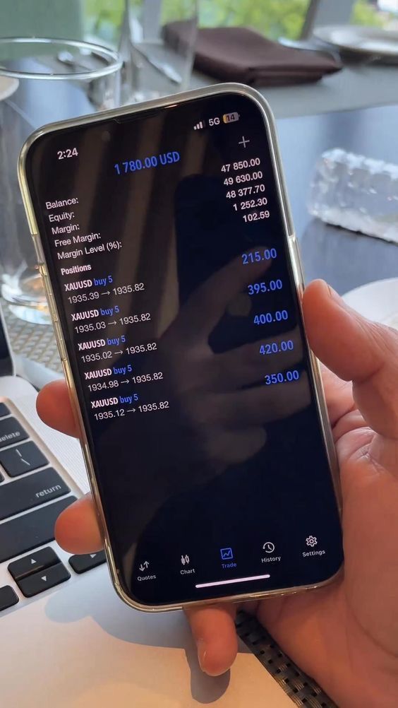 MT5 trading result from a member